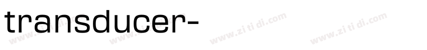 transducer字体转换
