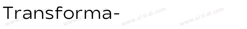 Transforma字体转换