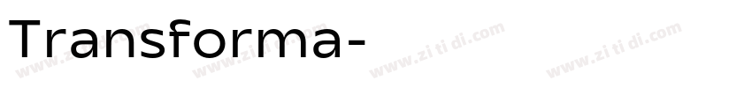 Transforma字体转换