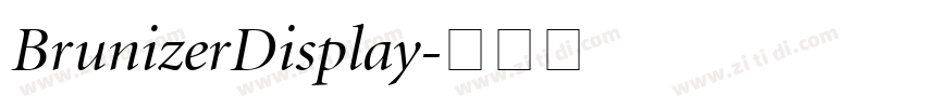 BrunizerDisplay字体转换