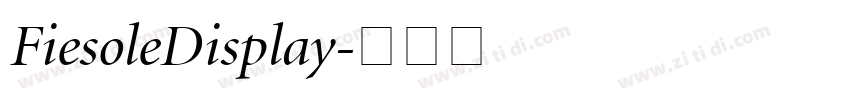 FiesoleDisplay字体转换