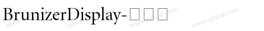 BrunizerDisplay字体转换