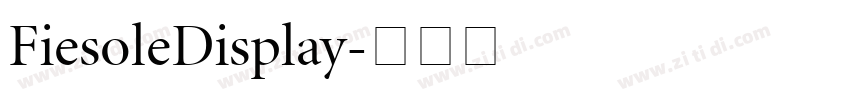 FiesoleDisplay字体转换