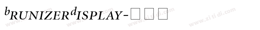 BrunizerDisplay字体转换