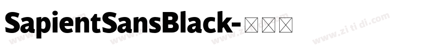 SapientSansBlack字体转换