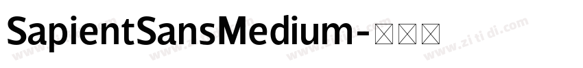 SapientSansMedium字体转换