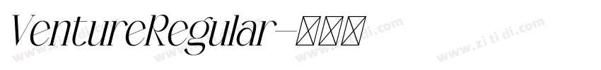 VentureRegular字体转换