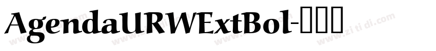 AgendaURWExtBol字体转换