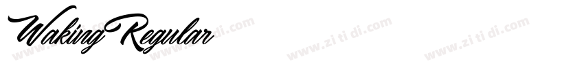 WakingRegular字体转换 WakingRegular字体转换