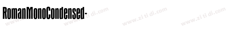 RomanMonoCondensed字体转换