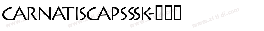 CarnatiSCapsSSK字体转换