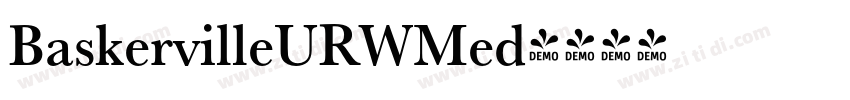 BaskervilleURWMed字体转换 BaskervilleURWMed字体转换