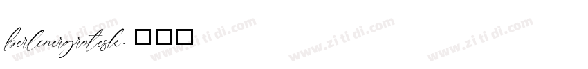 berlinergrotesk字体转换