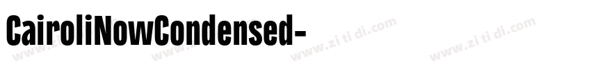CairoliNowCondensed字体转换