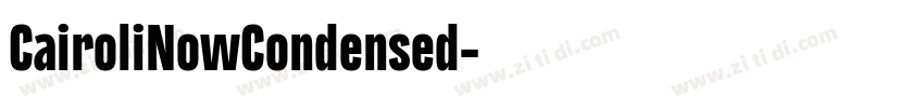 CairoliNowCondensed字体转换