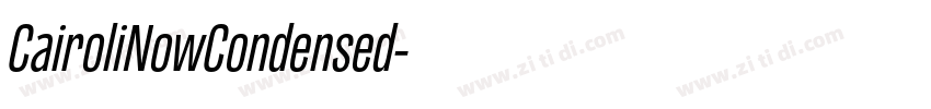 CairoliNowCondensed字体转换