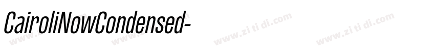 CairoliNowCondensed字体转换