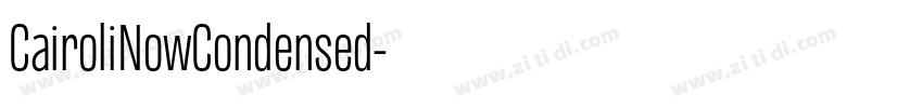 CairoliNowCondensed字体转换