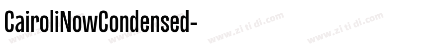 CairoliNowCondensed字体转换
