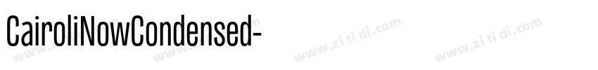 CairoliNowCondensed字体转换