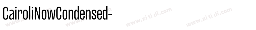 CairoliNowCondensed字体转换