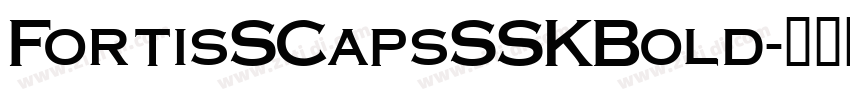 FortisSCapsSSKBold字体转换