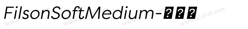 FilsonSoftMedium字体转换