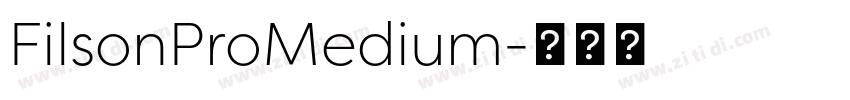 FilsonProMedium字体转换