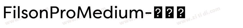FilsonProMedium字体转换