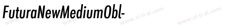 FuturaNewMediumObl字体转换