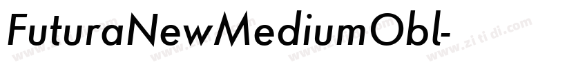 FuturaNewMediumObl字体转换