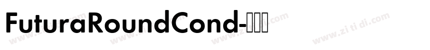 FuturaRoundCond字体转换