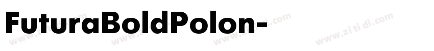 FuturaBoldPolon字体转换