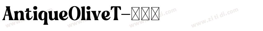 AntiqueOliveT字体转换