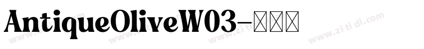 AntiqueOliveW03字体转换