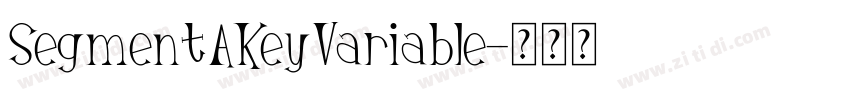 SegmentAKeyVariable字体转换