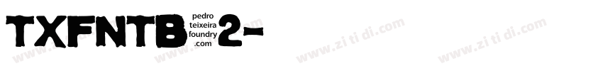 TxFntB12字体转换