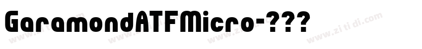 GaramondATFMicro字体转换