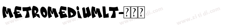 MetroMediumLT字体转换