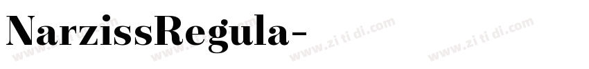 NarzissRegula字体转换