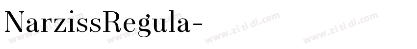 NarzissRegula字体转换