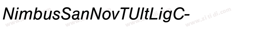 NimbusSanNovTUltLigC字体转换