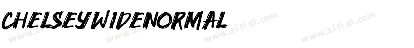 ChelseywideNormal字体转换