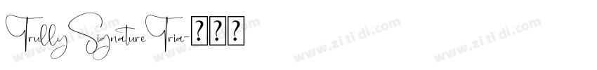 TrullySignatureTria字体转换
