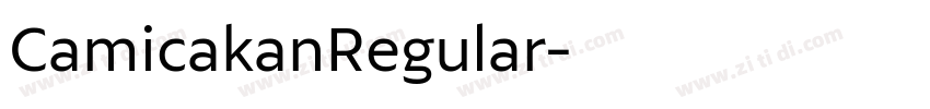 CamicakanRegular字体转换