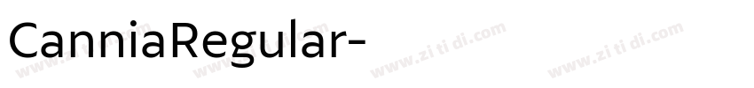 CanniaRegular字体转换