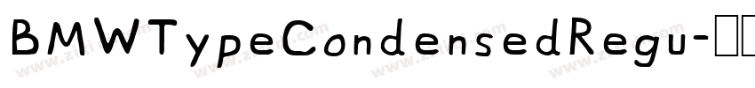 BMWTypeCondensedRegu字体转换 BMWTypeCondensedRegu字体转换