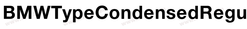 BMWTypeCondensedRegu字体转换 BMWTypeCondensedRegu字体转换