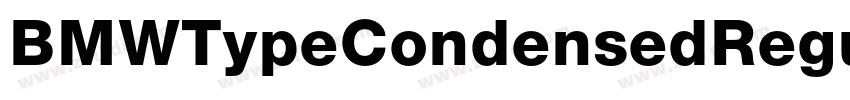 BMWTypeCondensedRegu字体转换 BMWTypeCondensedRegu字体转换