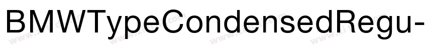 BMWTypeCondensedRegu字体转换 BMWTypeCondensedRegu字体转换